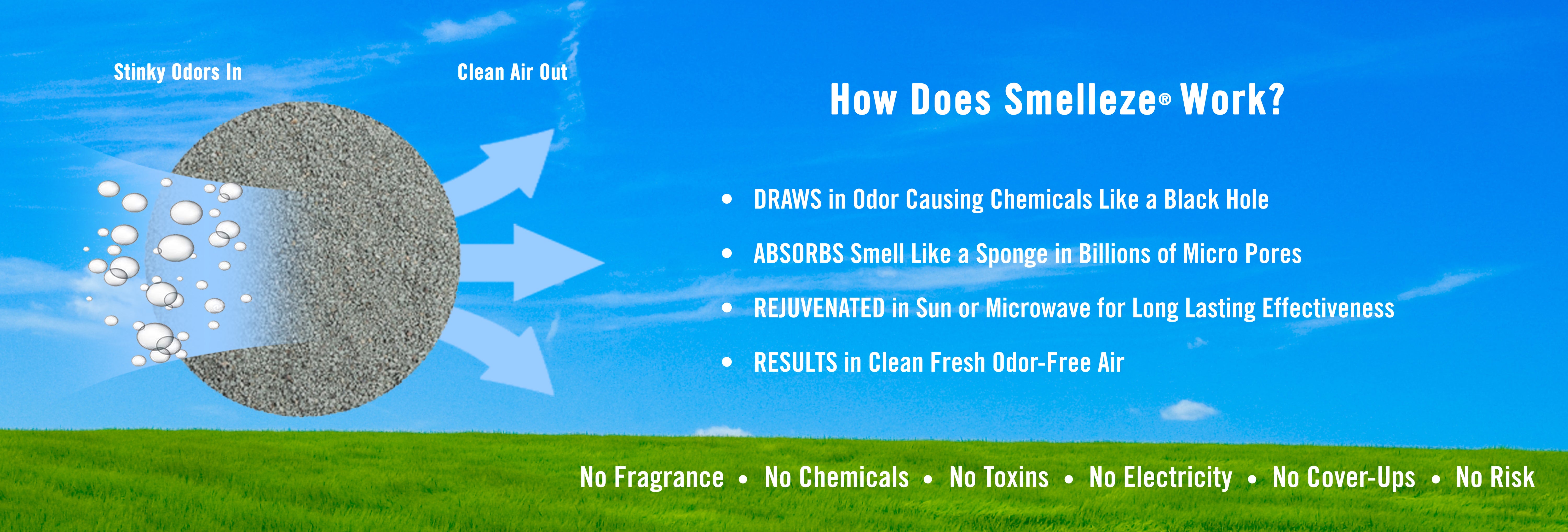 Natural Odor Eliminators that Really Work. Rid Smell & Breathe Clean ...