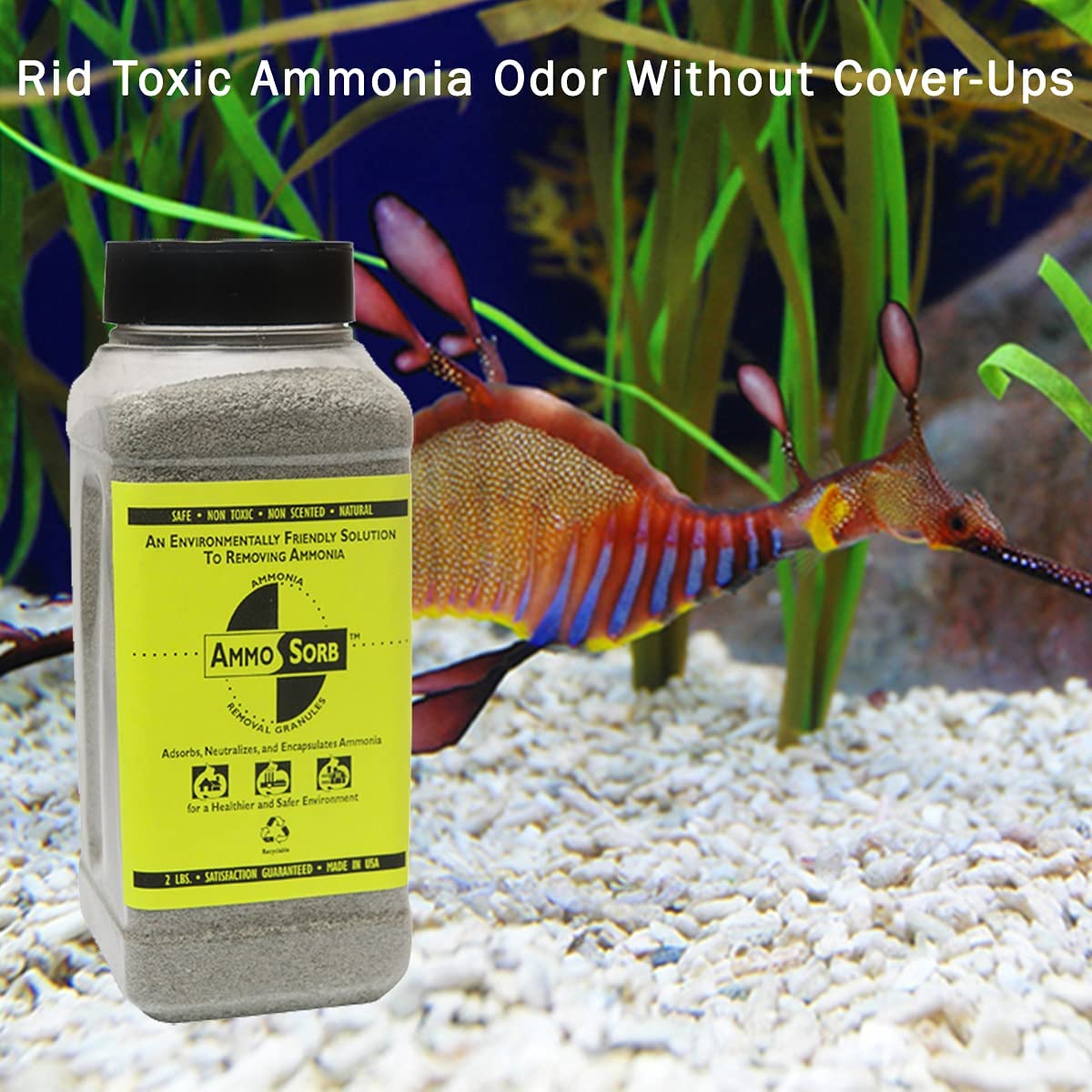 clean the fish accessories woth amoneia AMMOSORB Natural Aquarium Ammonia Remover Granules: 2 lb. Use in Tank or Filter
