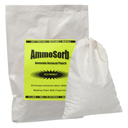 Basement Smells Like Ammonia: Causes & Solutions